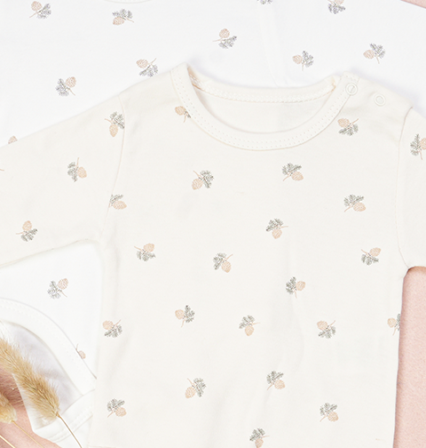 Organic Cotton Bodysuits Set of 2 Acorn