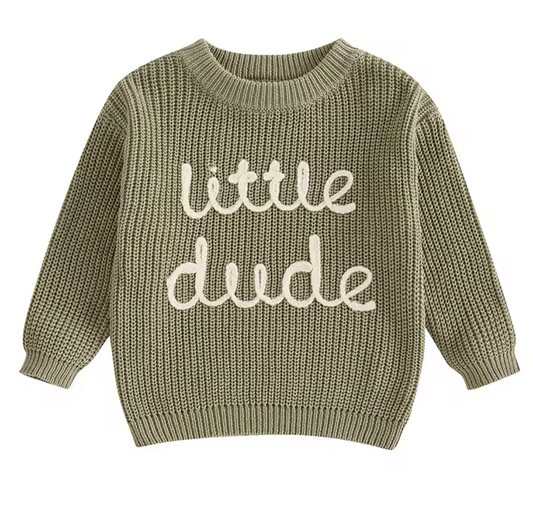 Kids Cotton Knit Boys Sweater: LITTLE DUDE Embroidered